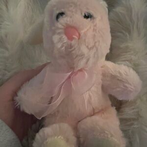 Greenbrier International Pink Plush Bunny